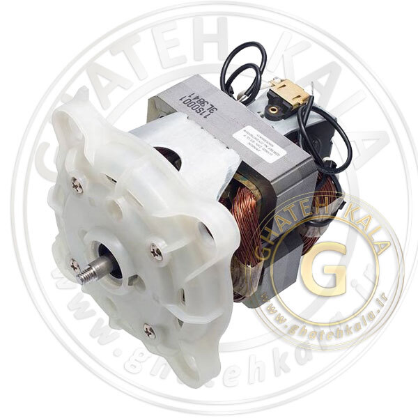 موتور آب میوه گیری مولینکس و تفال SS-192649 | ju400