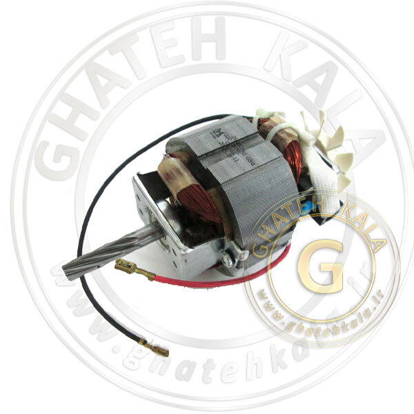  موتور چرخ گوشت تفال و مولینکس | ss-192323 