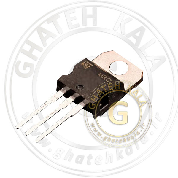 ترایاک برد غذاساز مولینکس